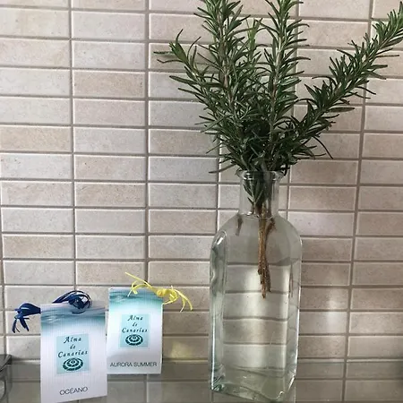 Сasa de vacaciones Casa Ajaches