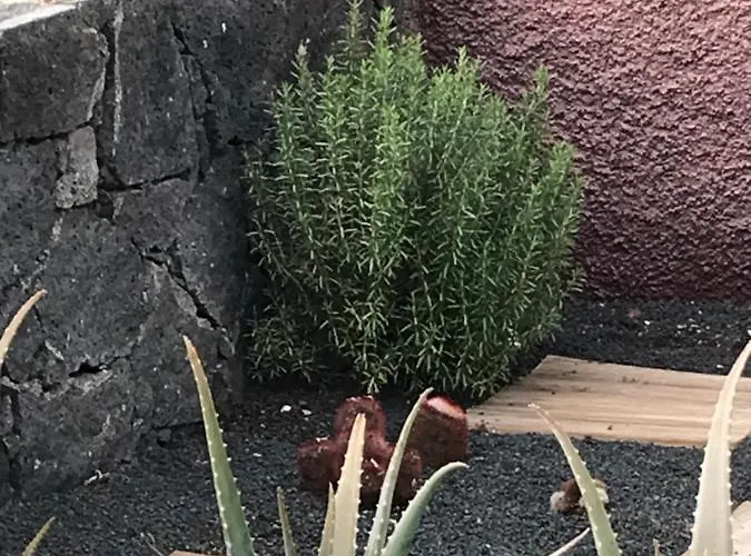 Casa Ajaches 別荘 *